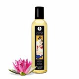 Erotic Massage Oils Amour / Sweet Lotus (240ml/8oz)