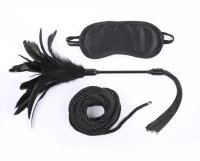 Sportsheets - Shadow Tie and Tickle Kit